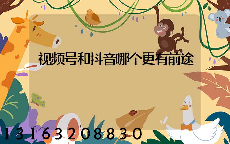 视频号和抖音哪个更有前途