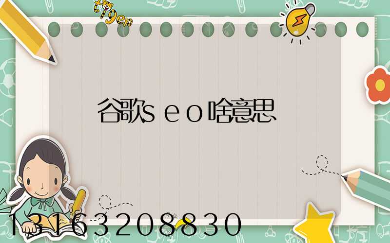 谷歌seo啥意思