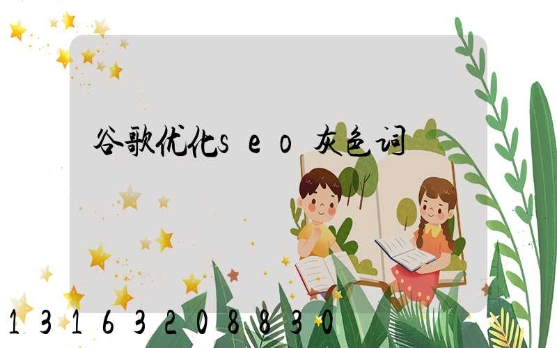 谷歌优化seo灰色词