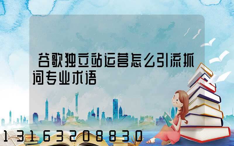 谷歌独立站运营怎么引流抓词专业术语