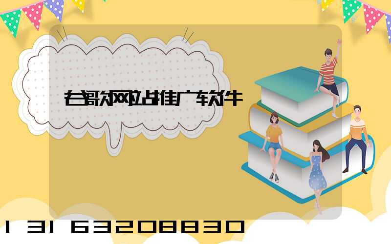 谷歌网站推广软件
