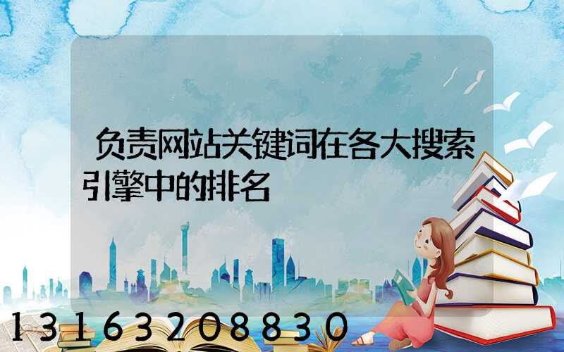 负责网站关键词在各大搜索引擎中的排名