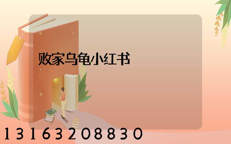 败家乌龟小红书