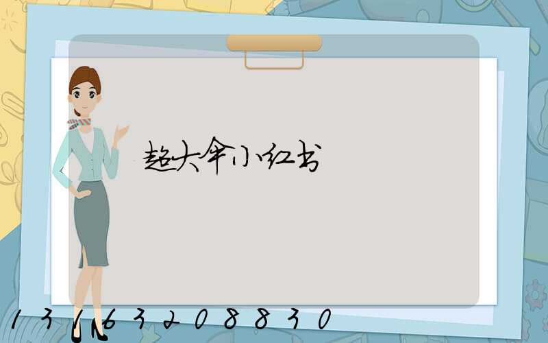超大伞小红书