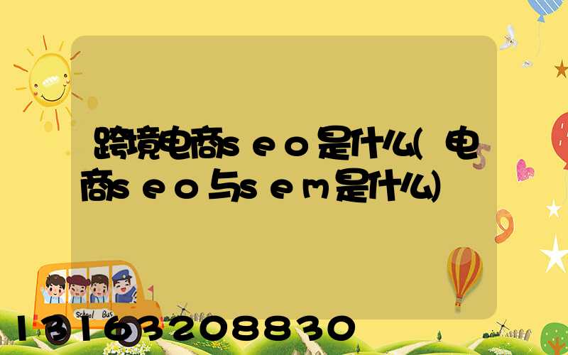 跨境电商seo是什么(电商seo与sem是什么)
