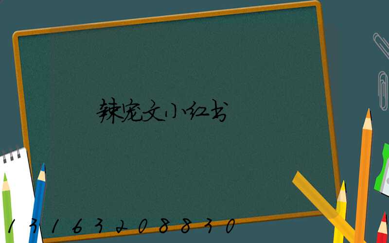 辣宠文小红书