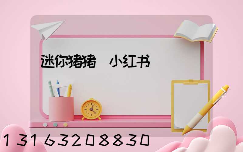 迷你猪猪_小红书