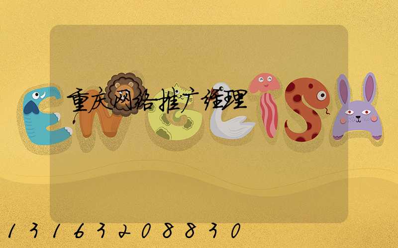 重庆网络推广经理