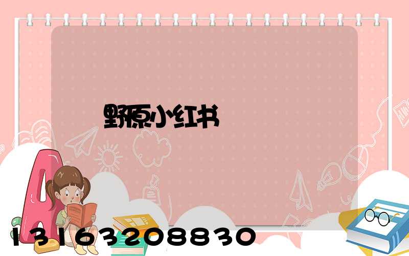 野原小红书
