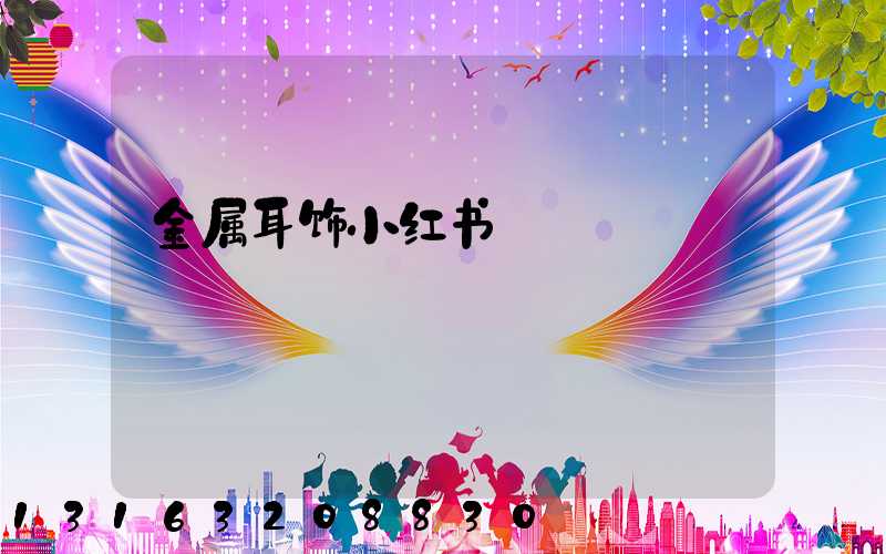 金属耳饰小红书