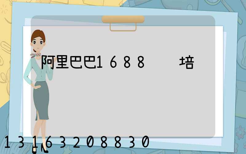 阿里巴巴1688运营培训