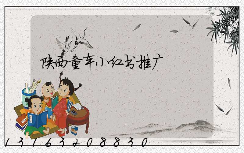 陕西童车小红书推广