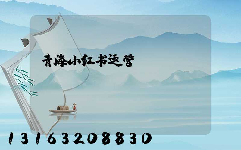 青海小红书运营