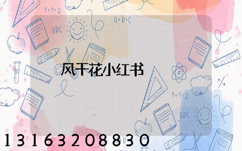 风干花小红书