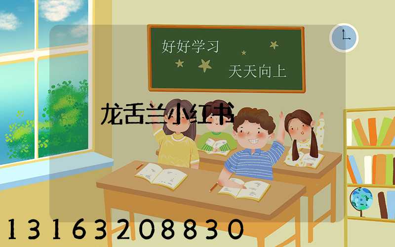 龙舌兰小红书
